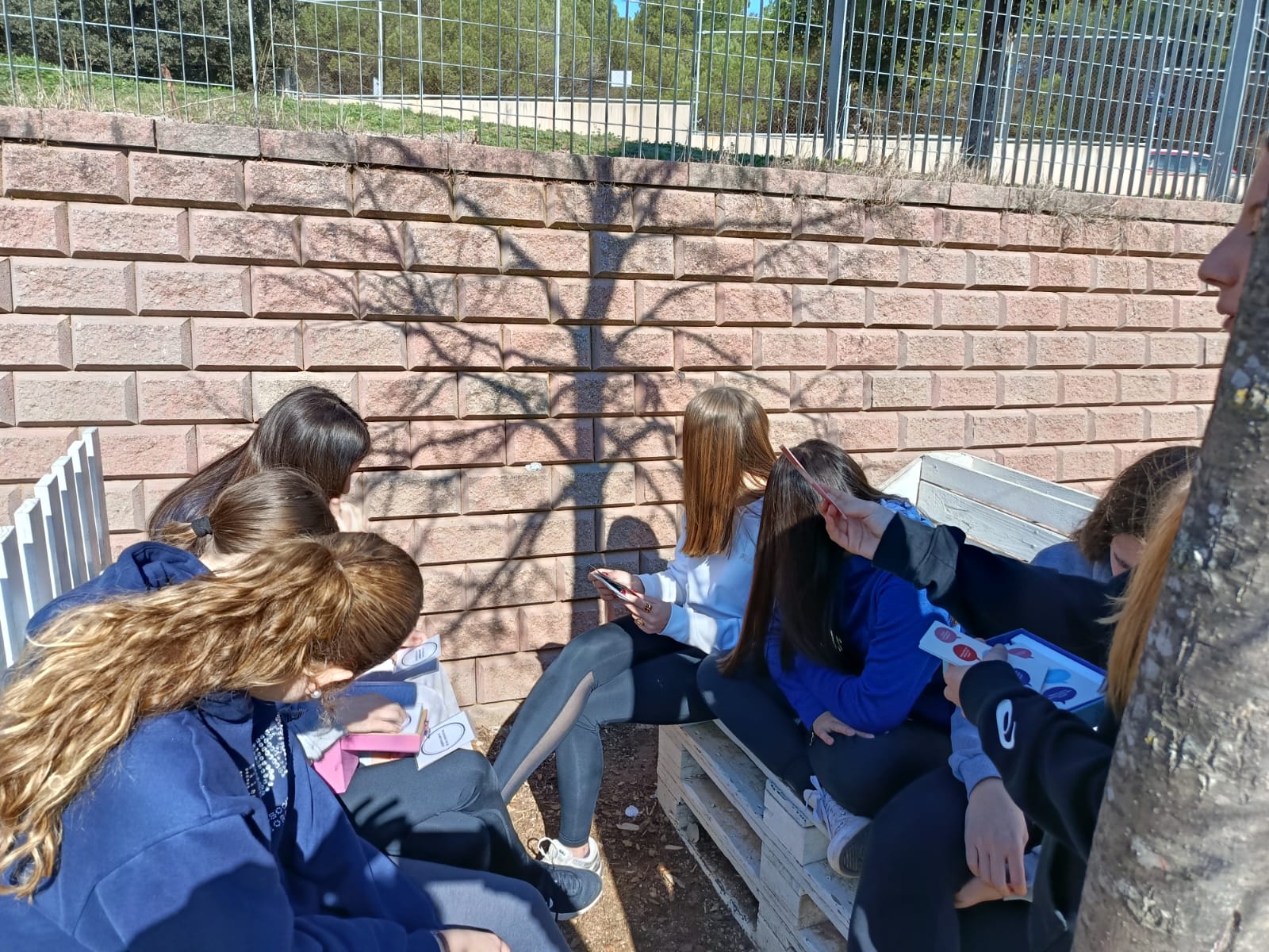 WhatsApp Image 2026-03-14 at 00.24.43