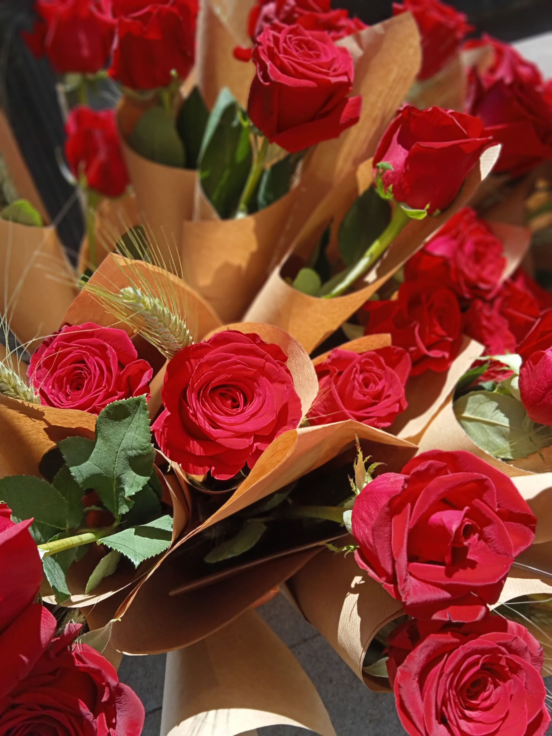 Sant Jordi al Vila (2)