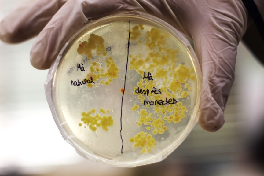 2.-Mans-natural-vs-monedes-1