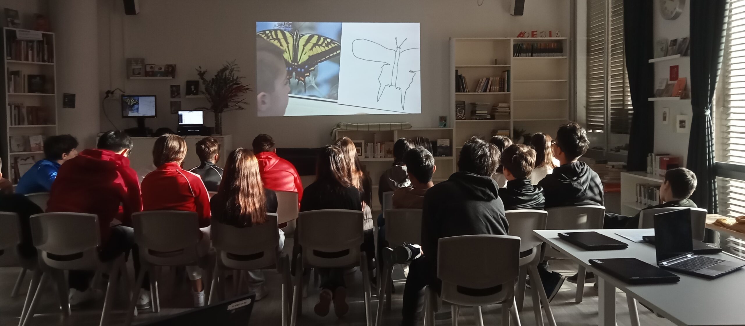 la papallona d'austin a la biblio