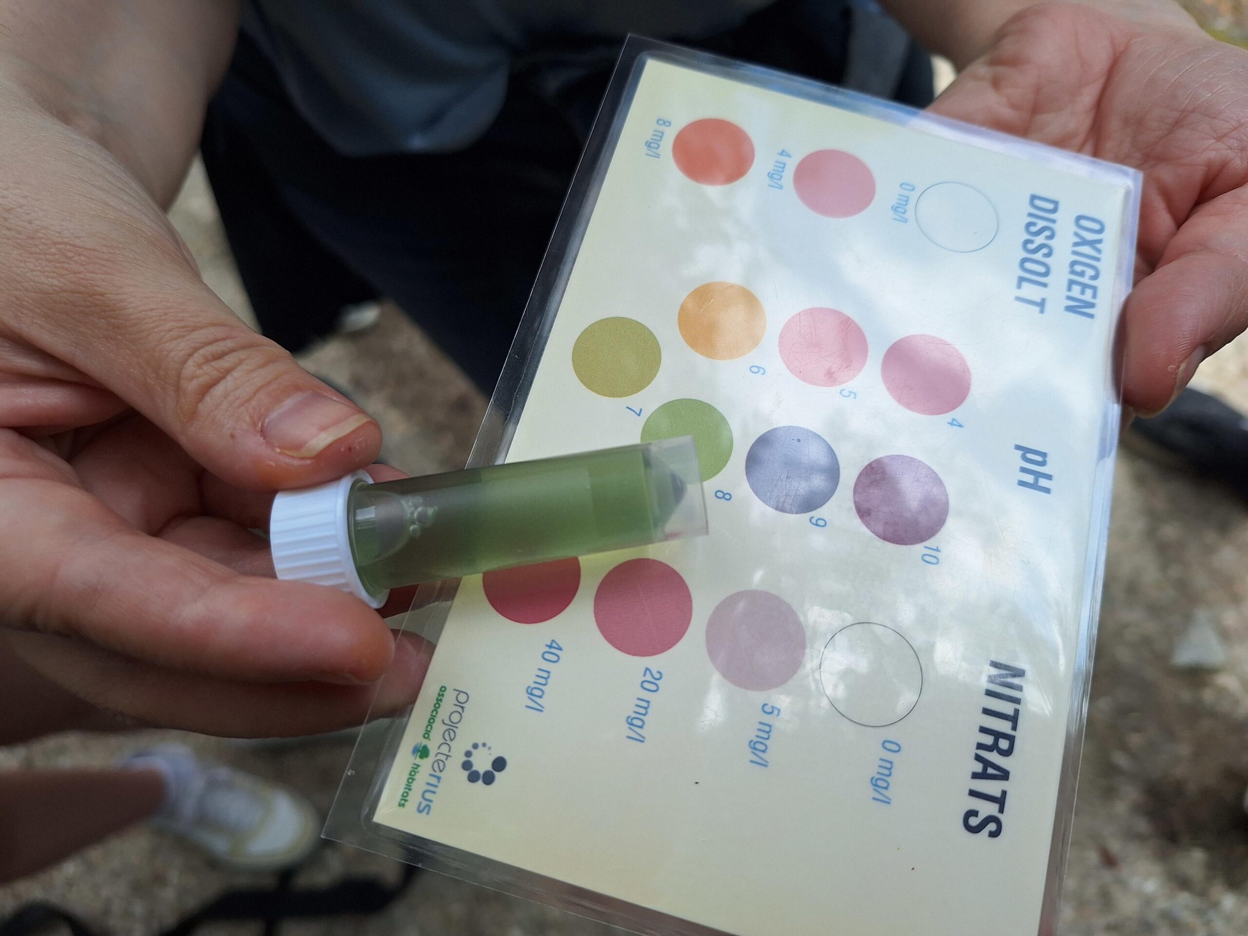 20240524_132100-3264x2448