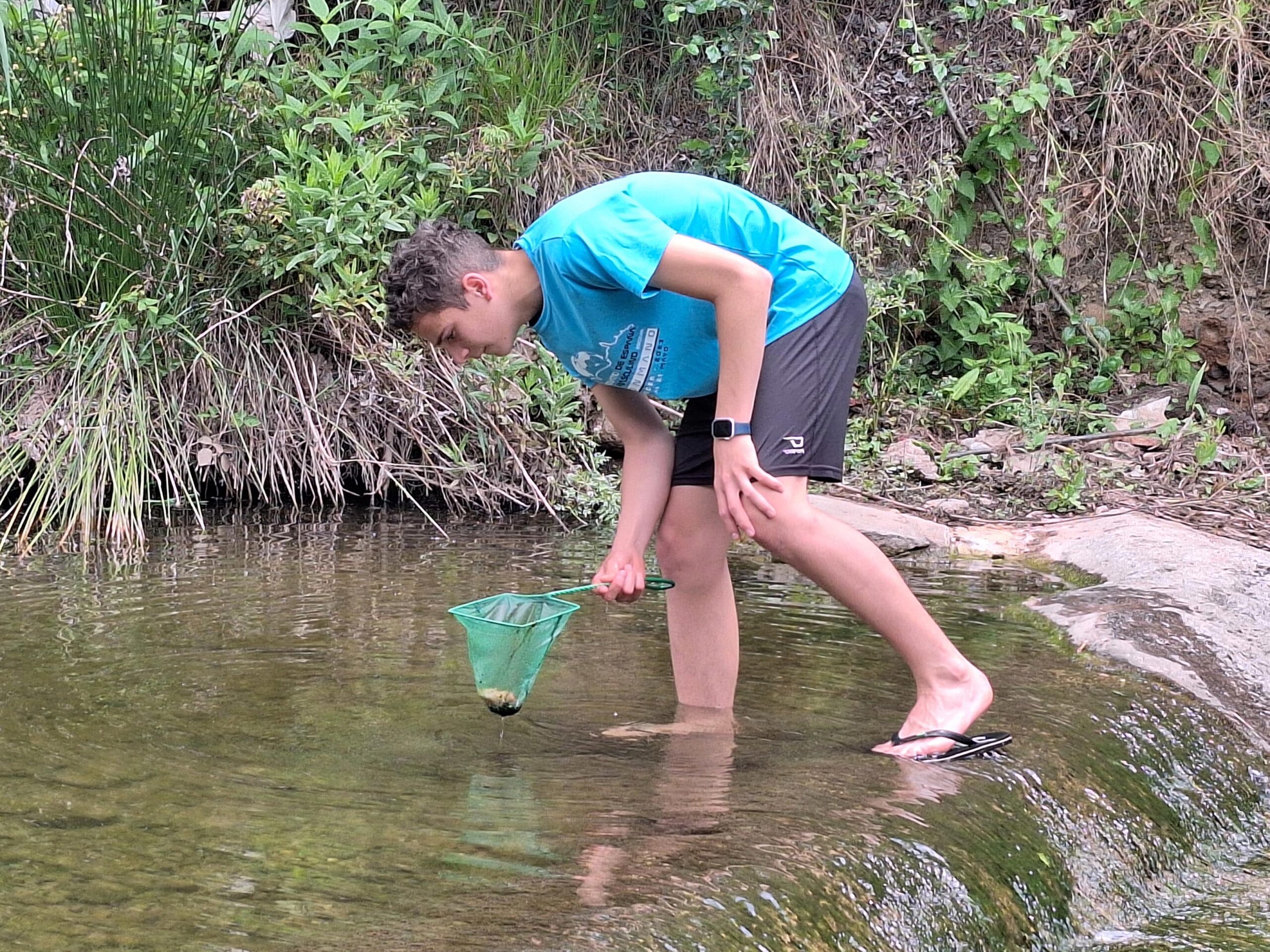 20240524_132444-3264x2448