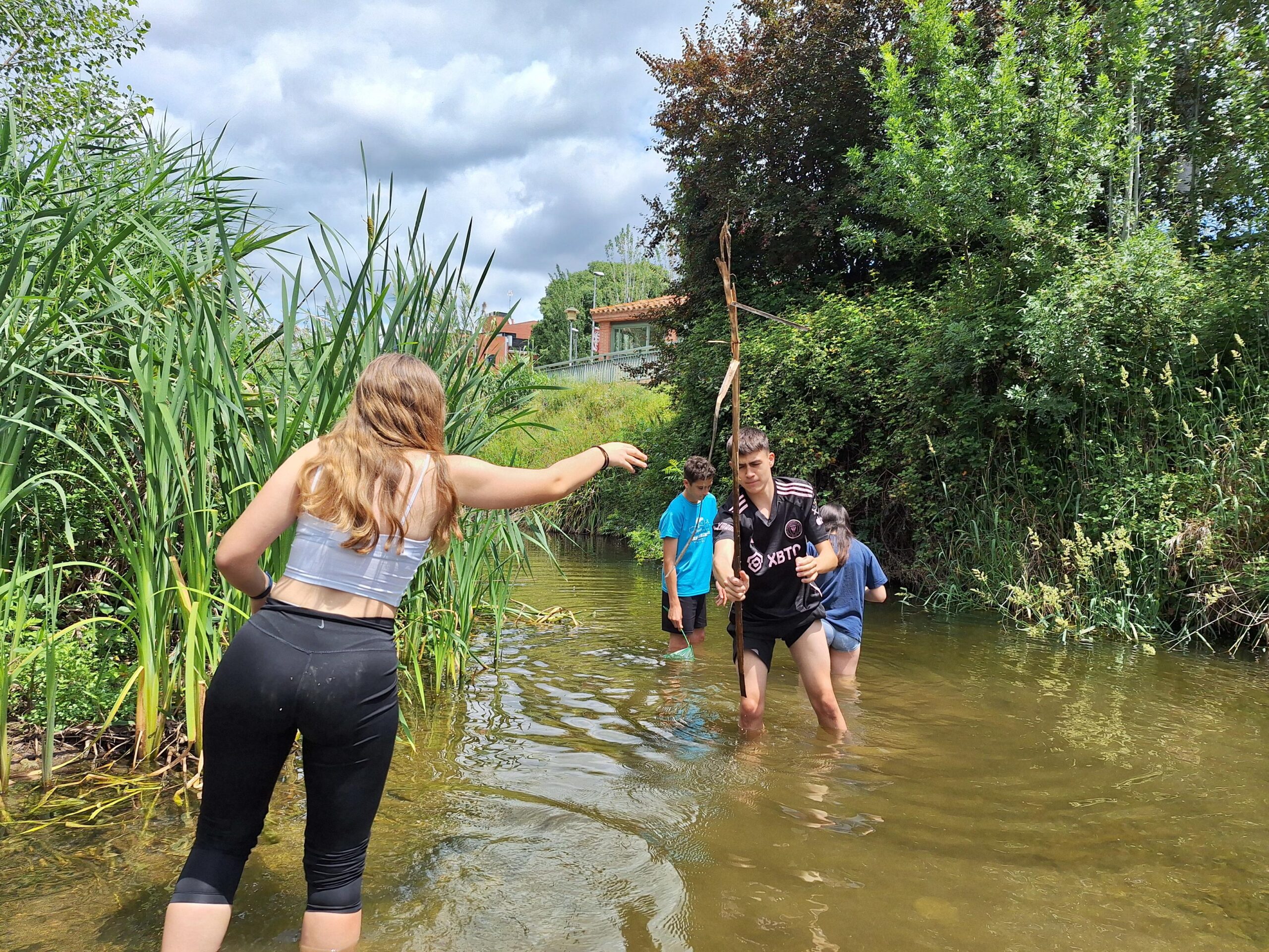 20240524_132950-3264x2448