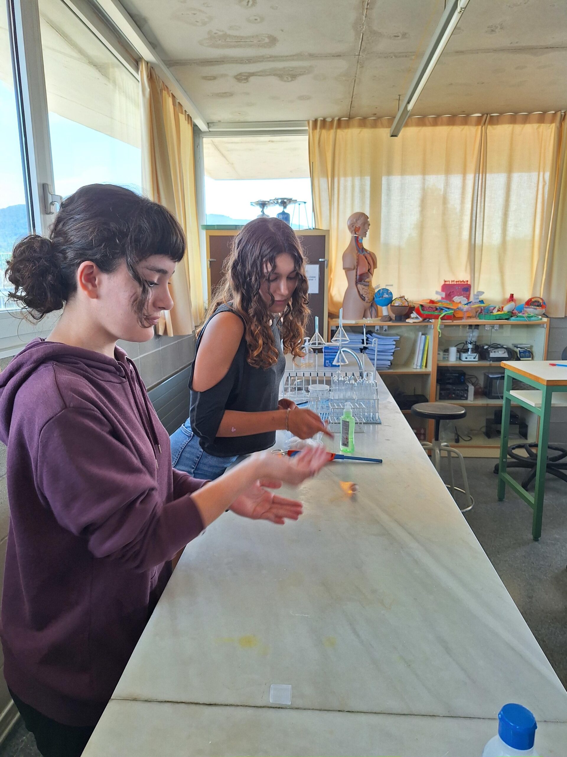 20240607_101133-2448x3264