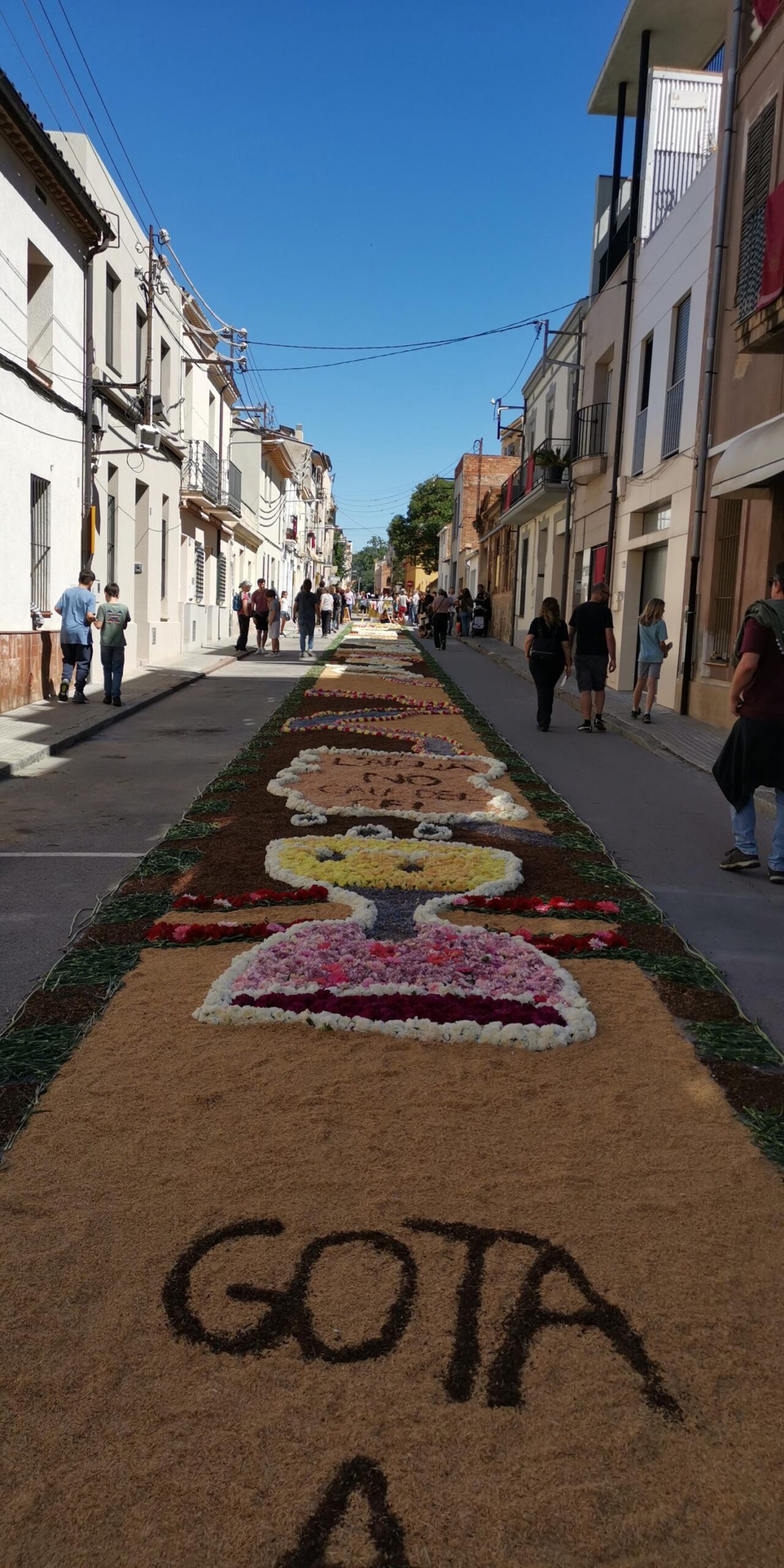 IMG_20240602_111447-1459x2918