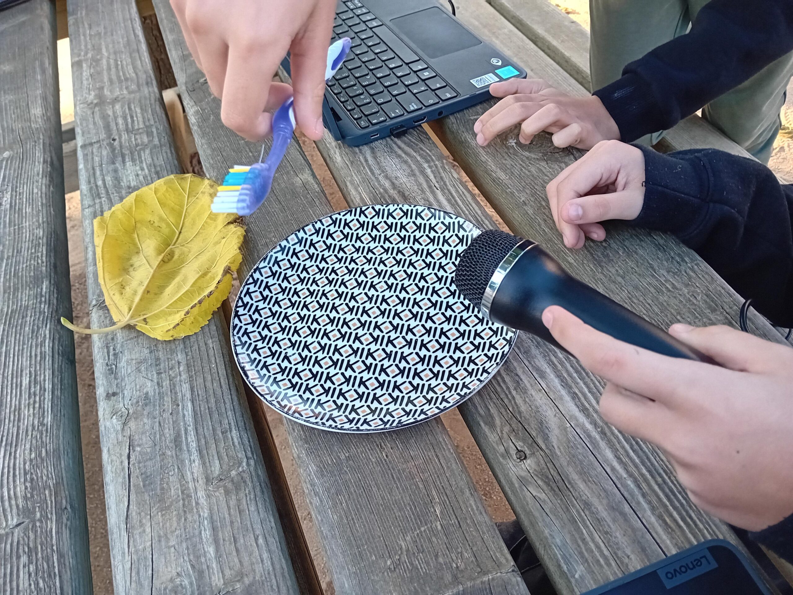 1000023958-3264x2448