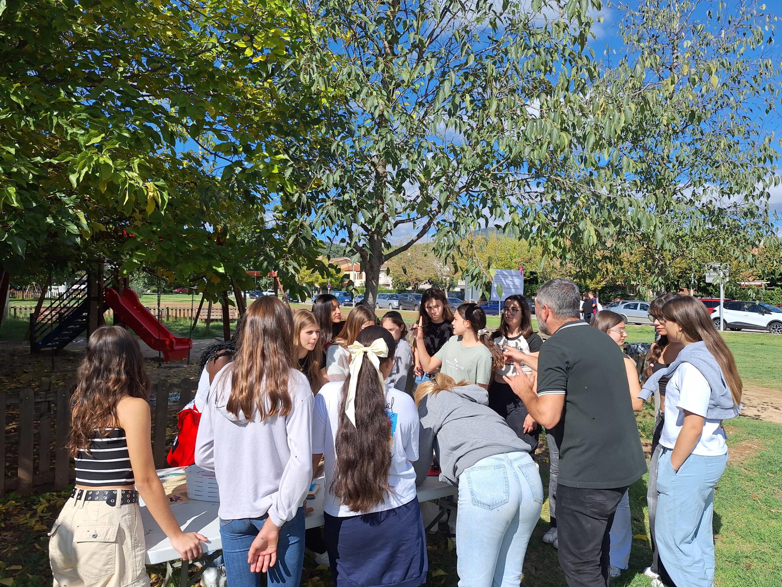 20241003_120312-3264x2448