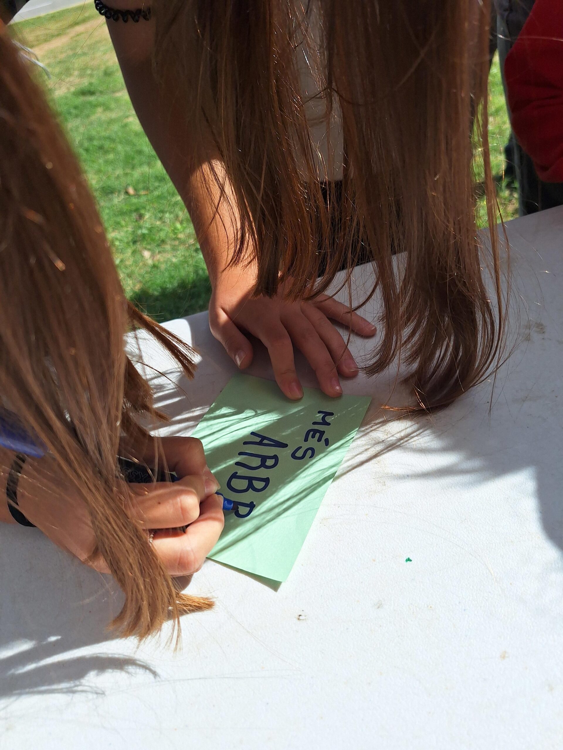 20241003_131007-2448x3264