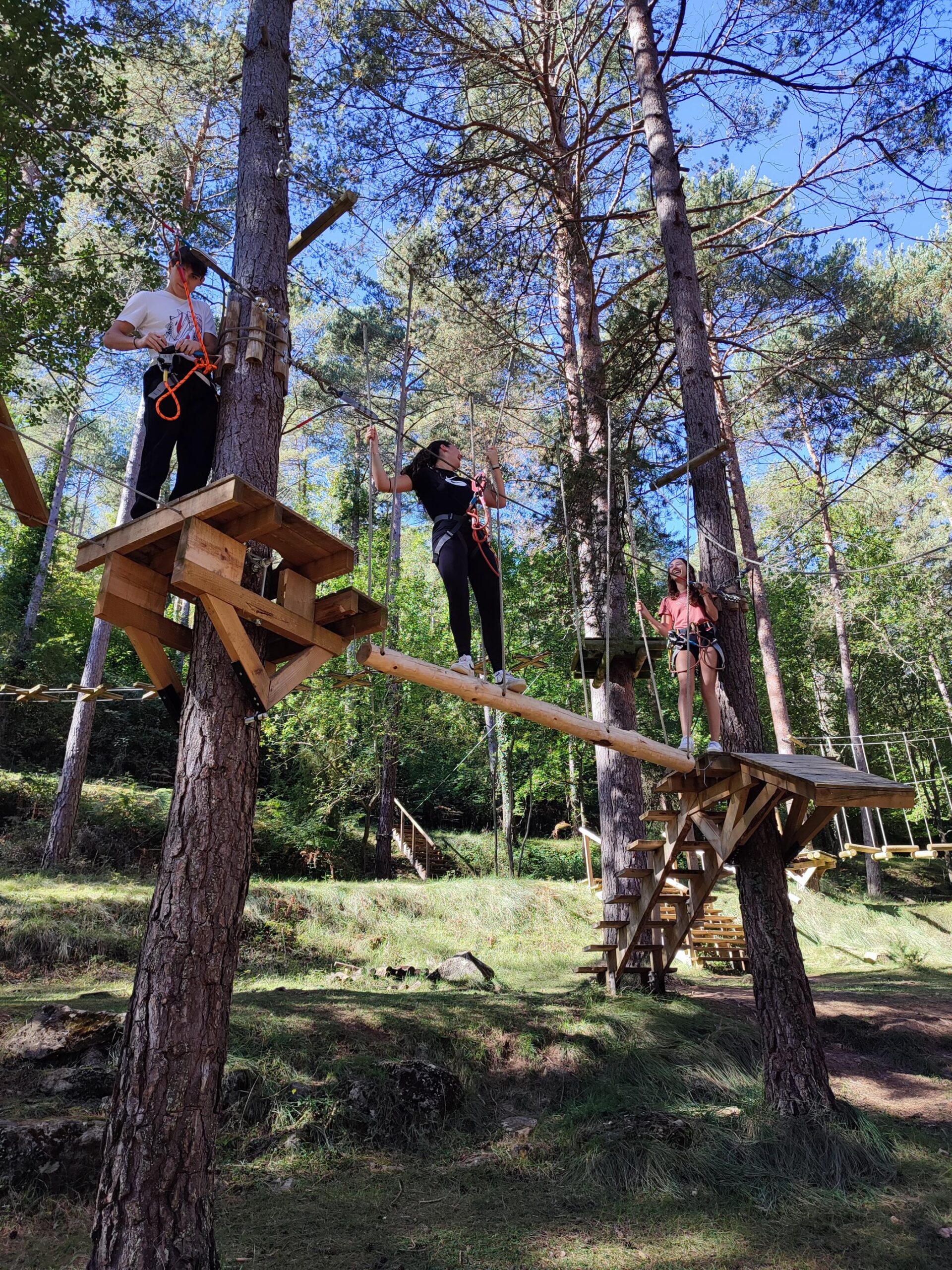 Còpia de IMG_20240930_114214-2100x2800