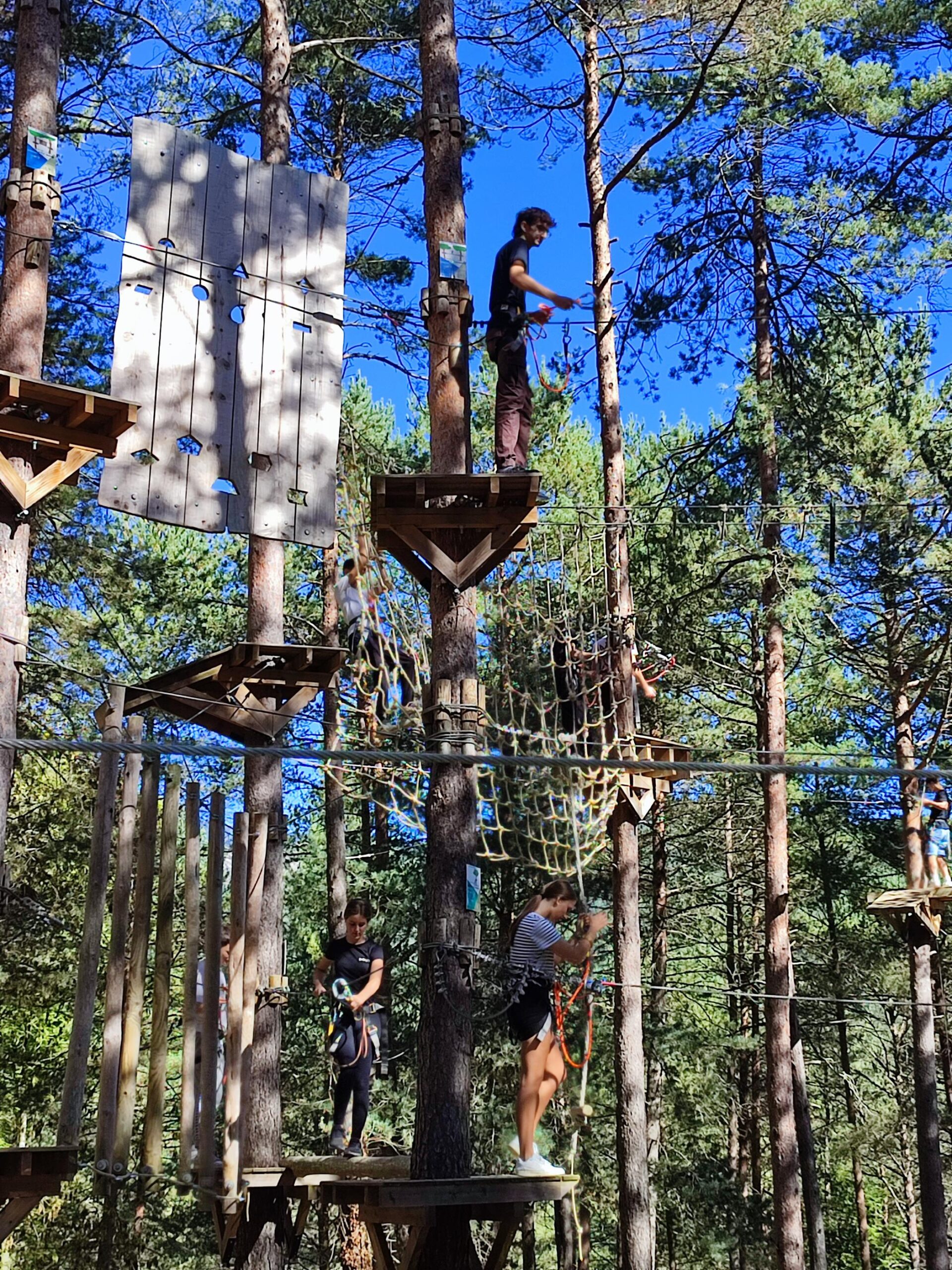 Còpia de IMG_20240930_114850-2100x2800