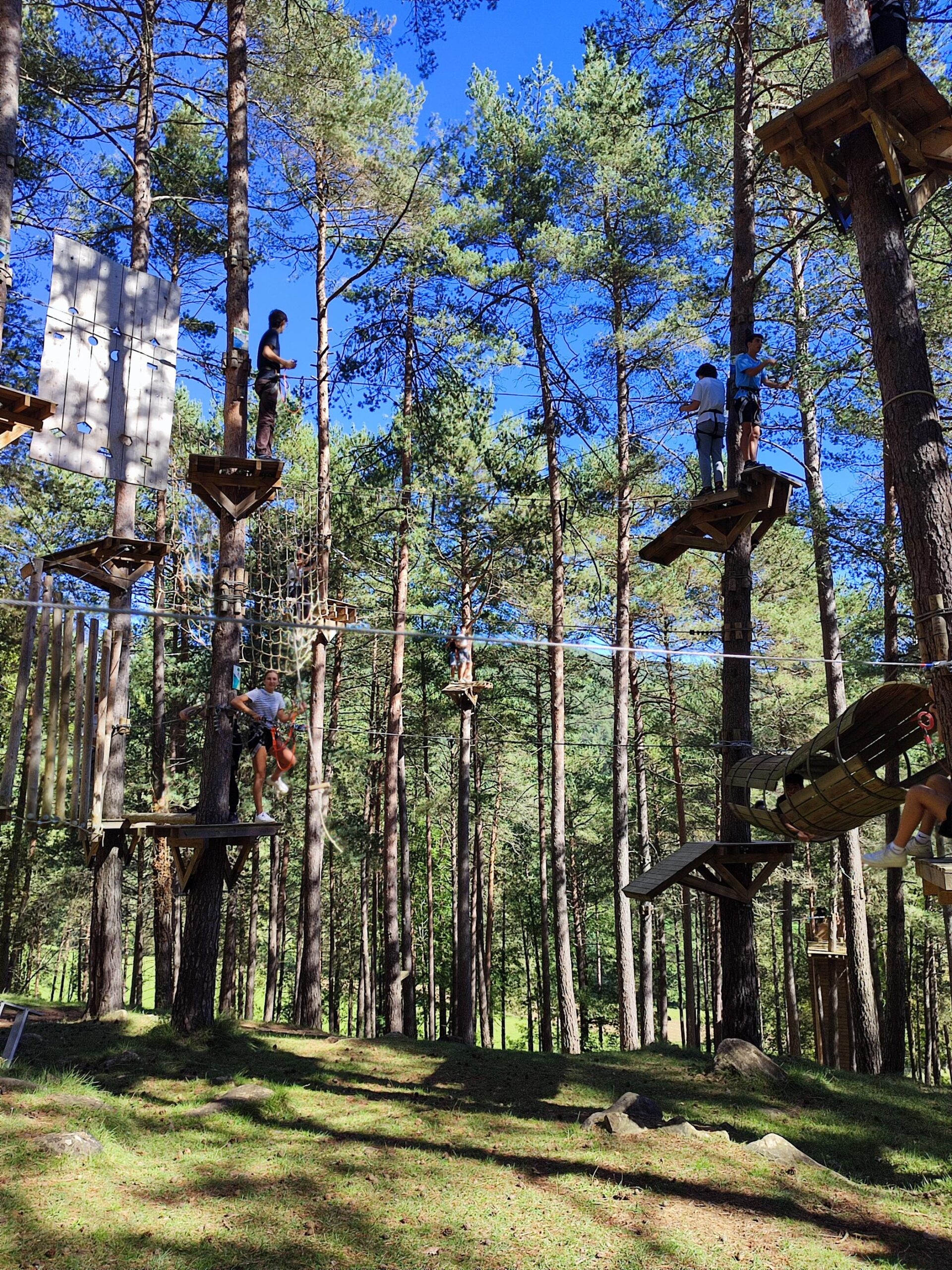 Còpia de IMG_20240930_114900-2100x2800