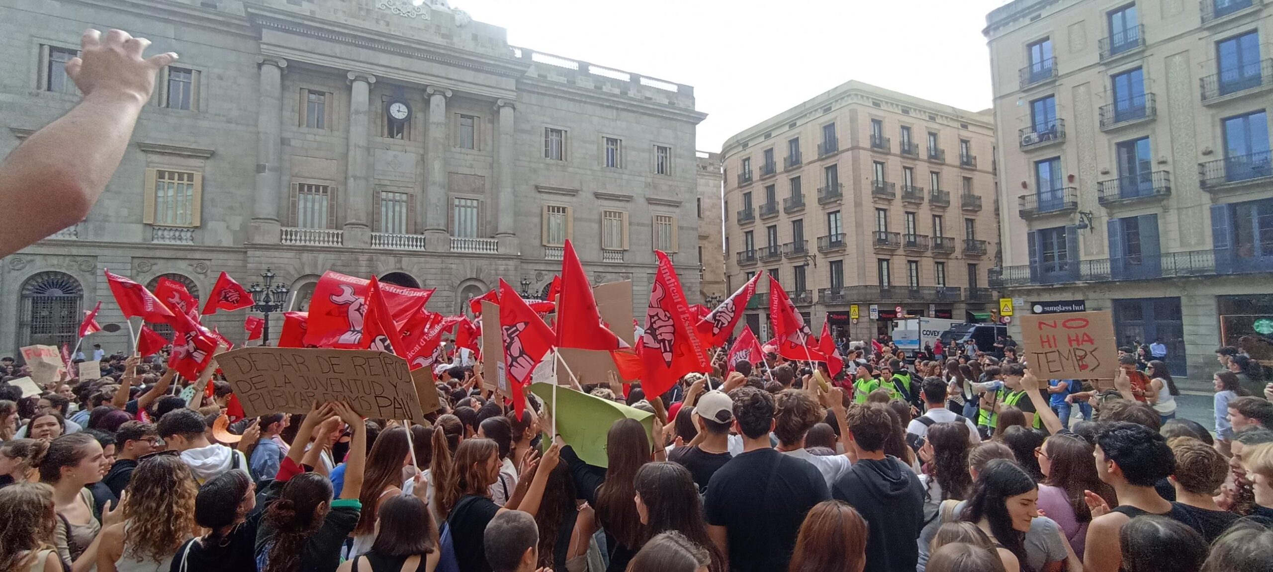 IMG_20241011_121653-2624x1180