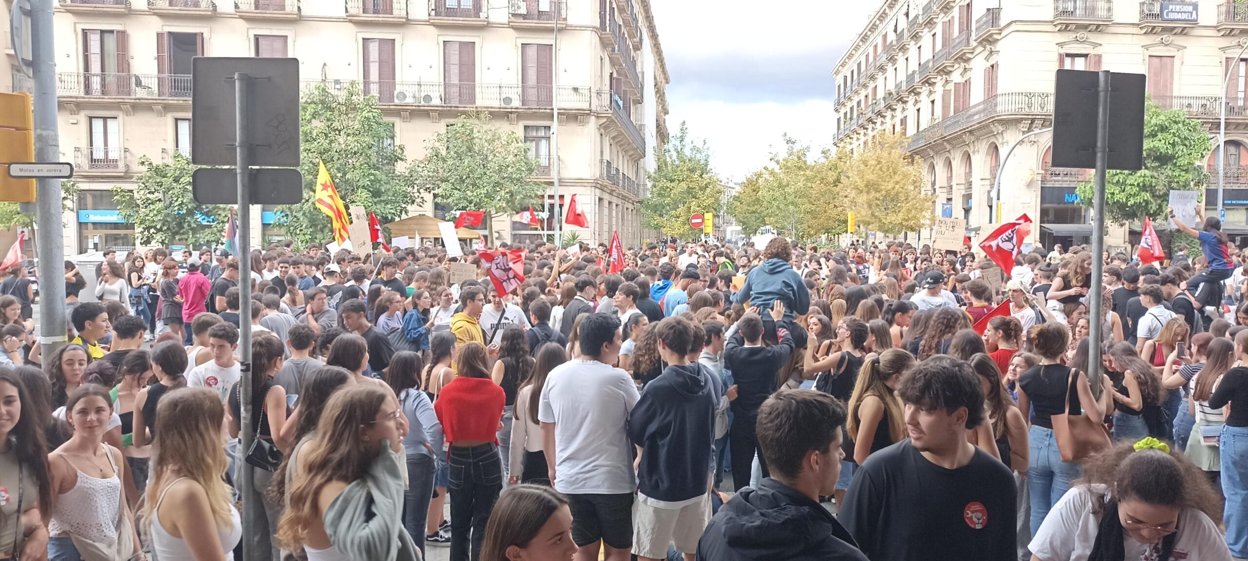 IMG_20241011_132144-3699x1664