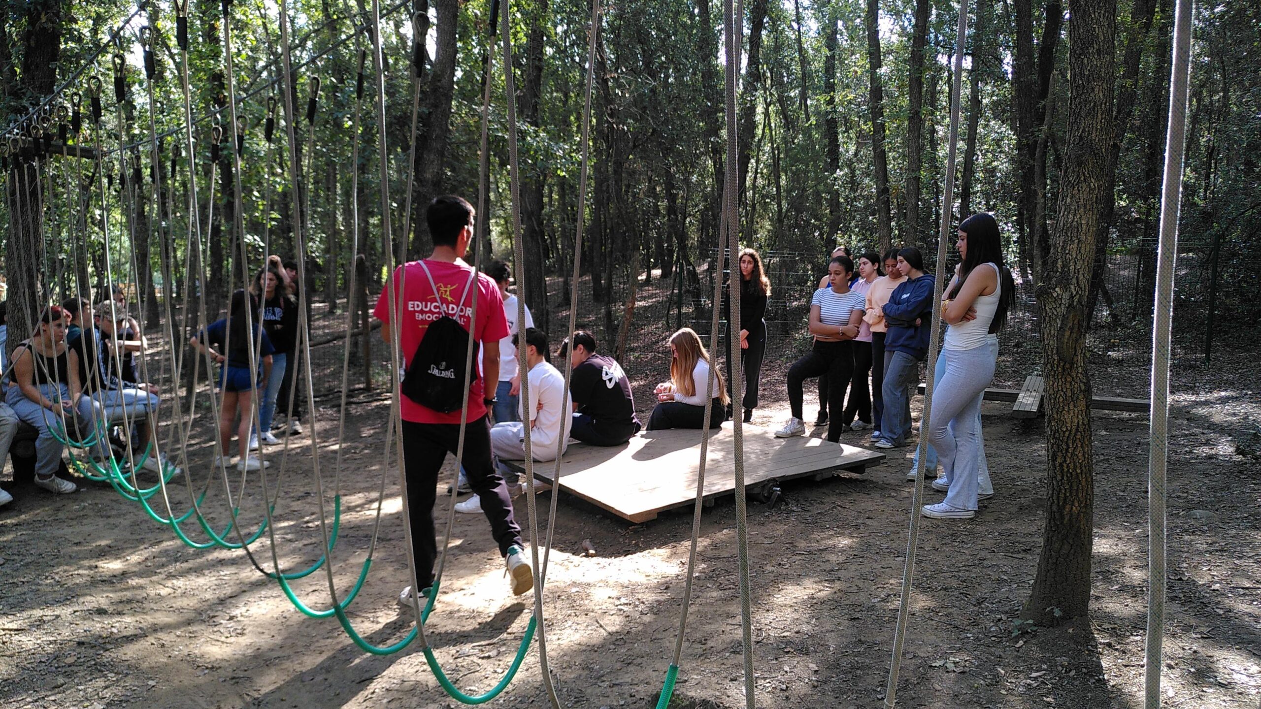 IMG_20241016_123004 (1)-3072x1728