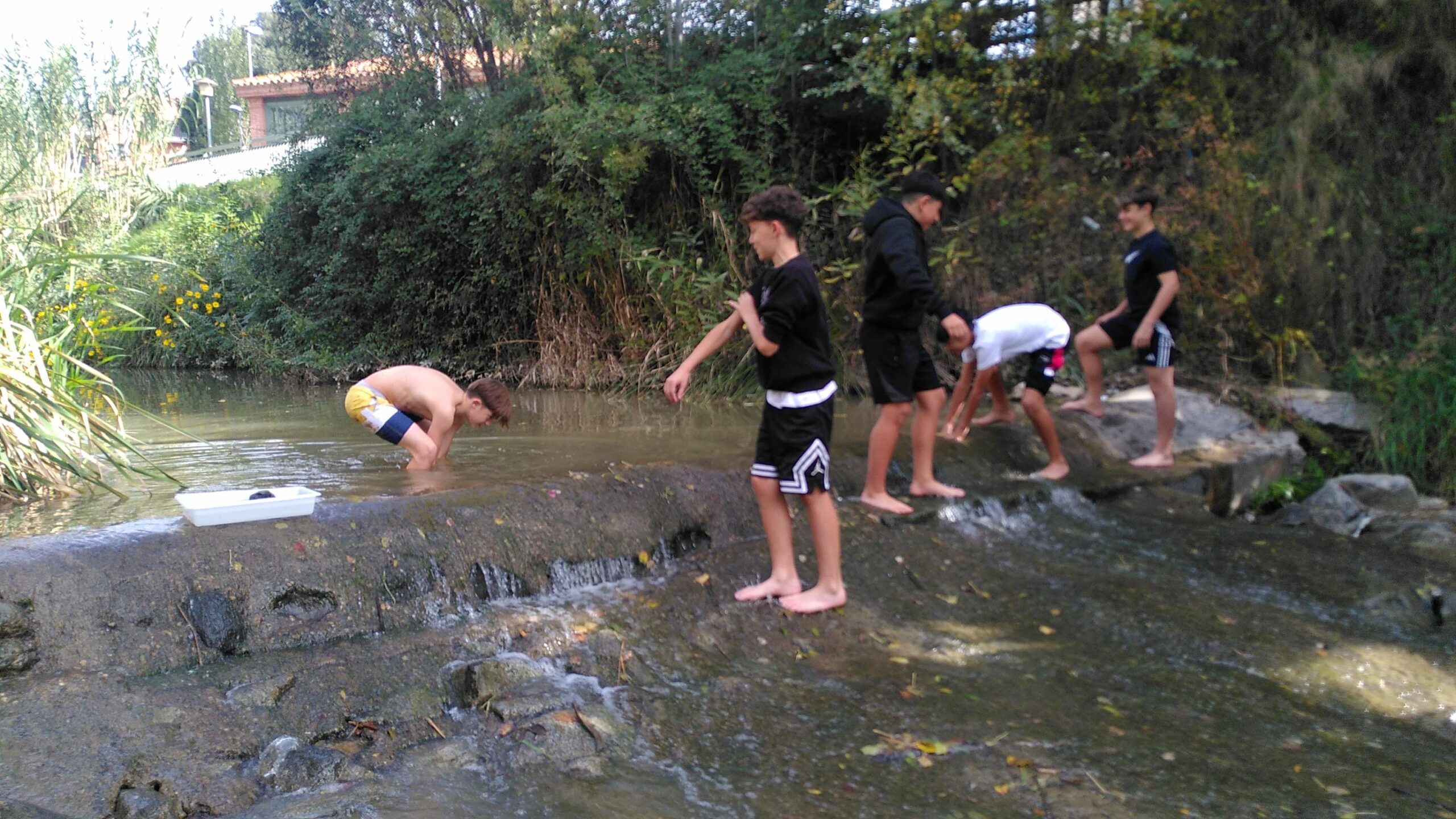 IMG_20241022_120854-3072x1728