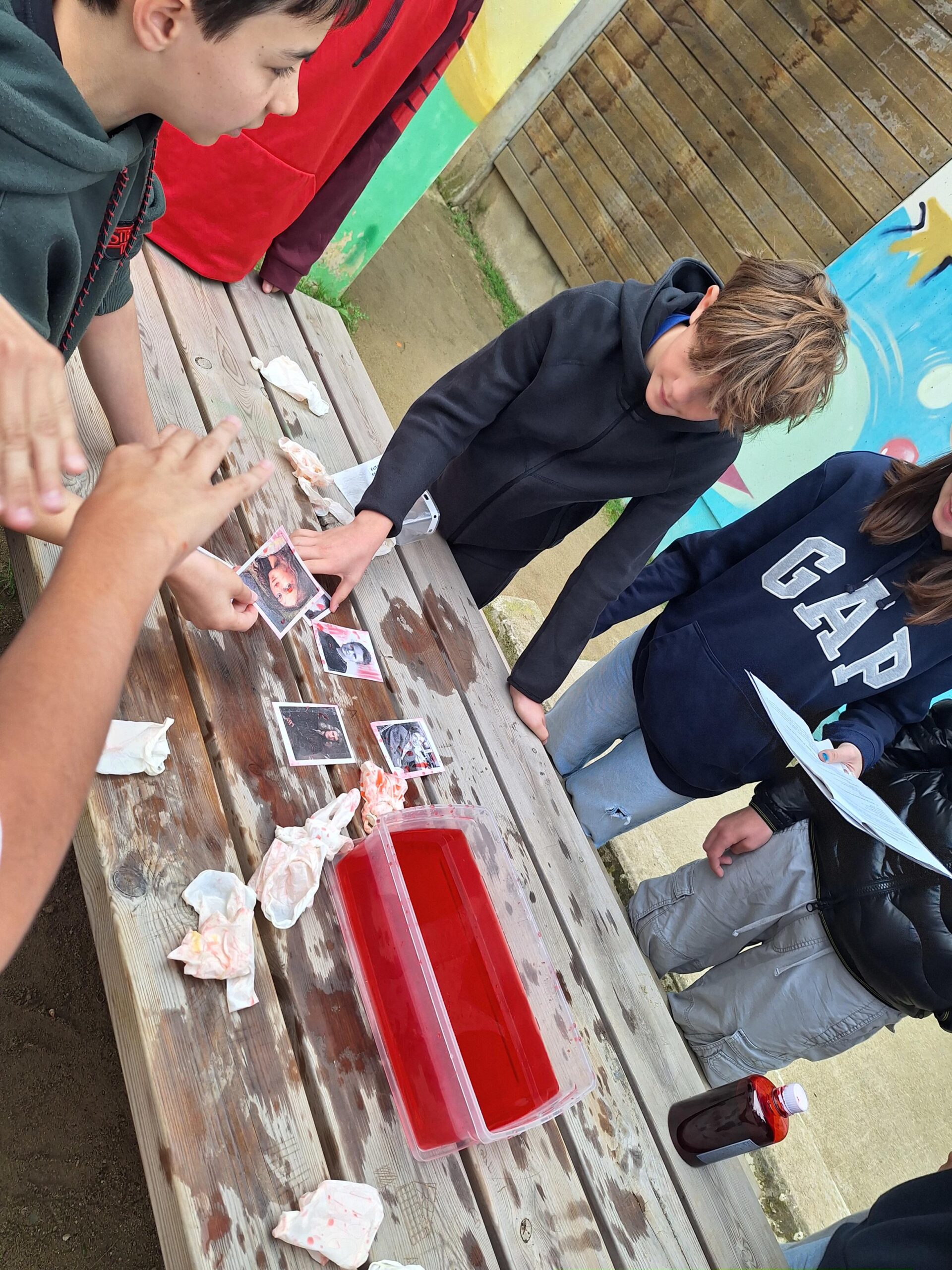 20241115_095739-2448x3264