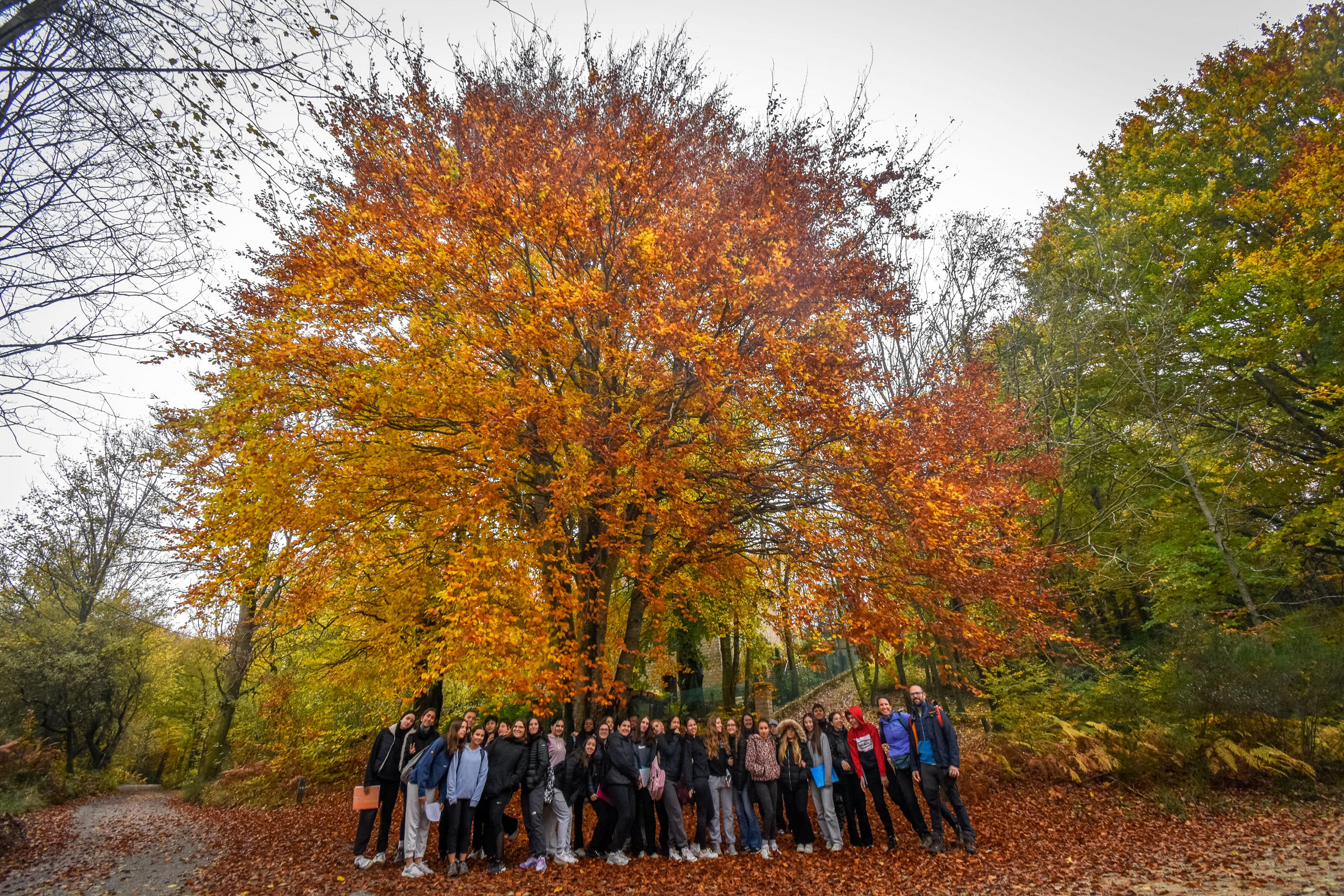 _JMC1400-2-2400x1600