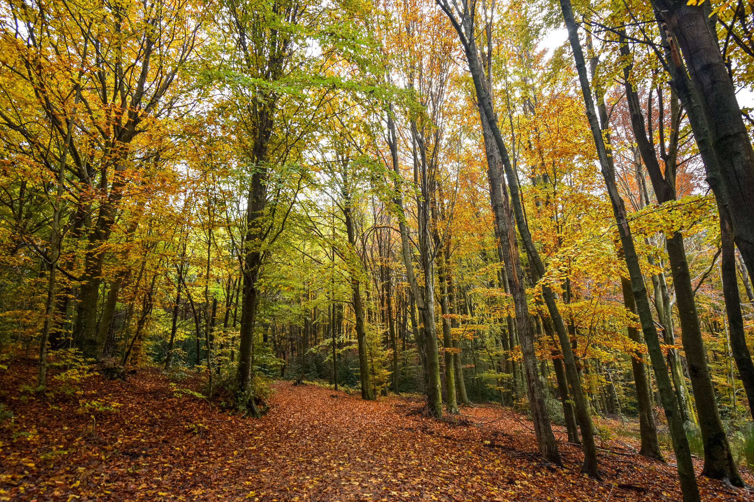 _JMC1402-2-2400x1600