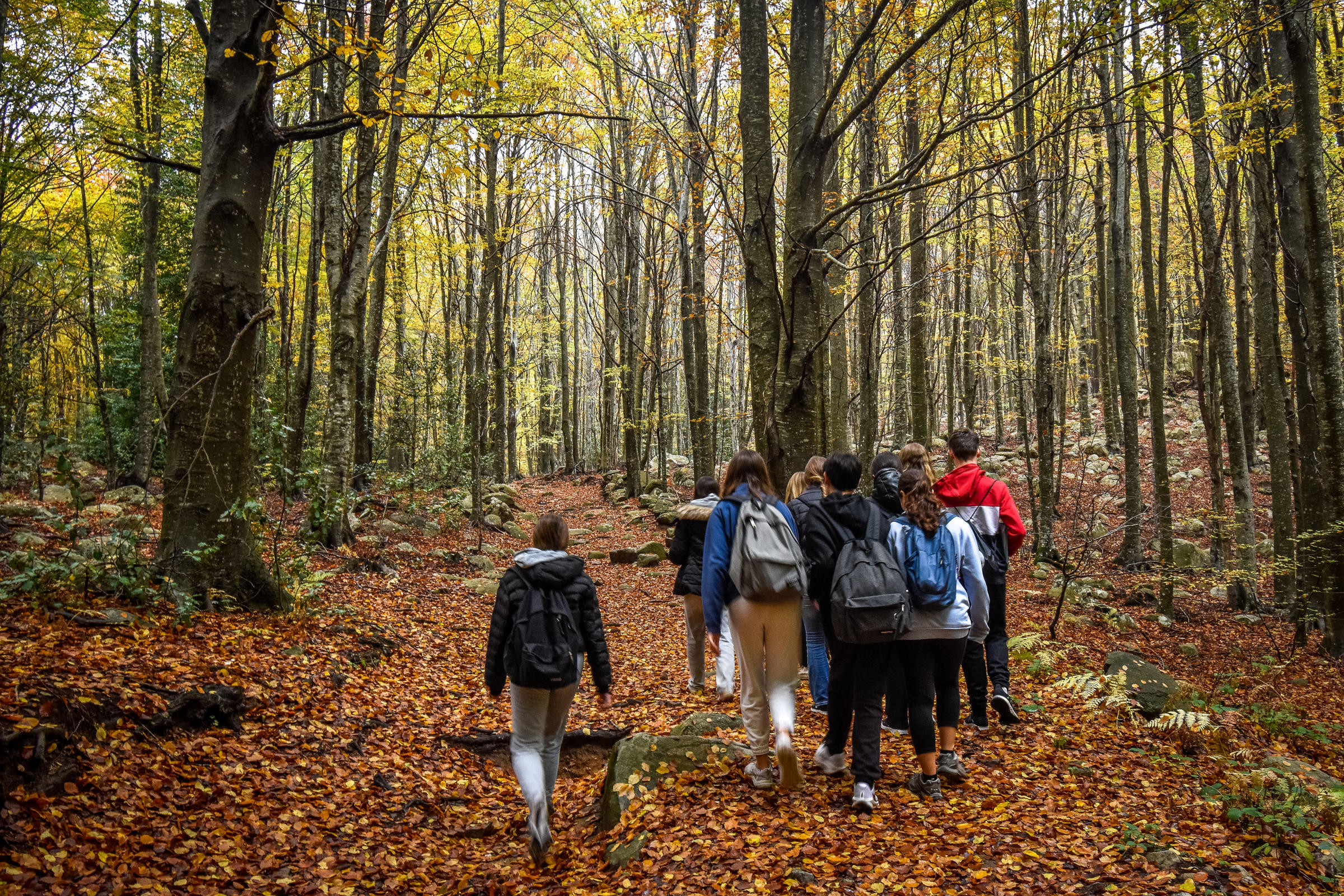 _JMC1425-2-2400x1600