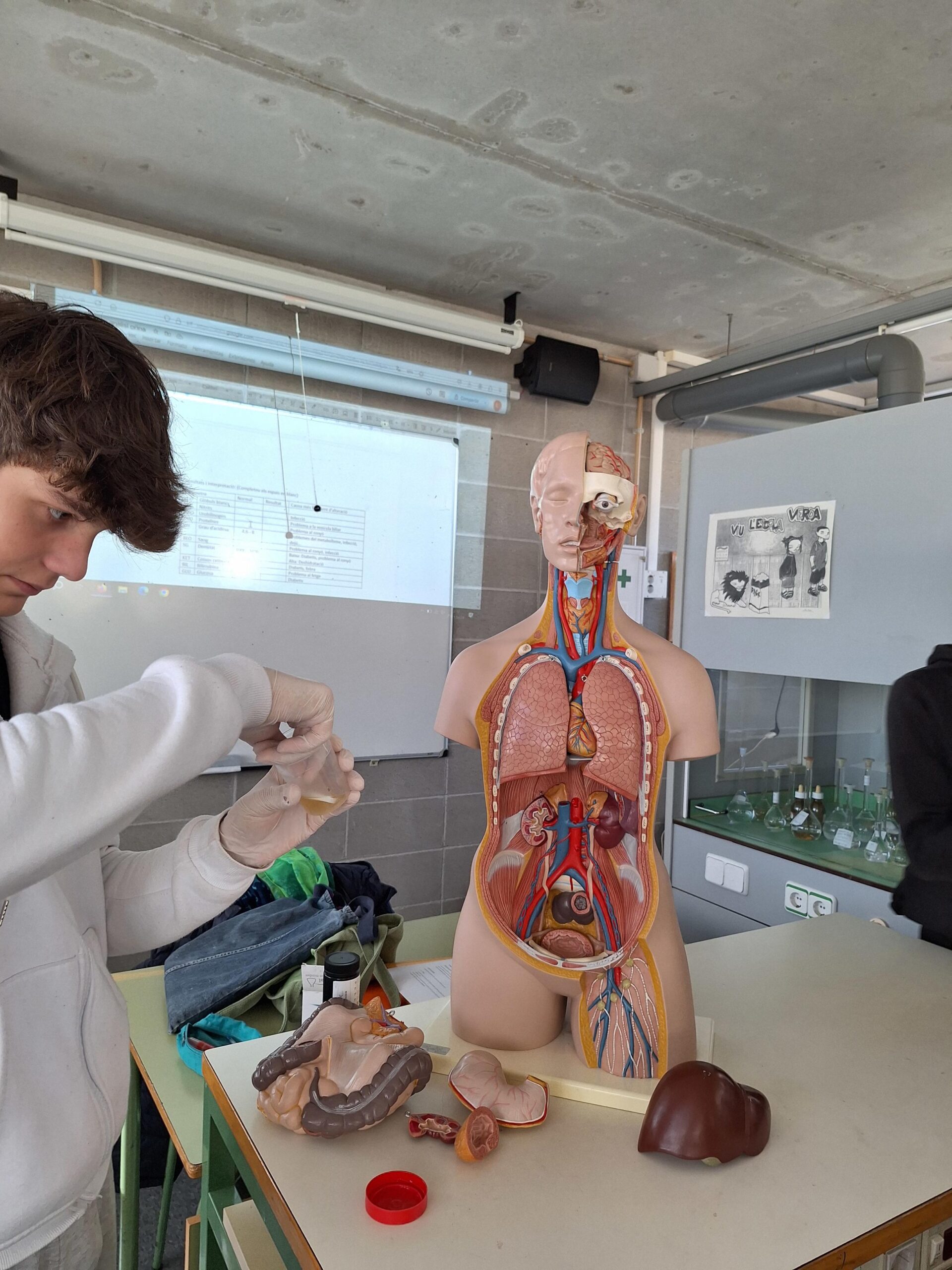 20241129_123223-2448x3264