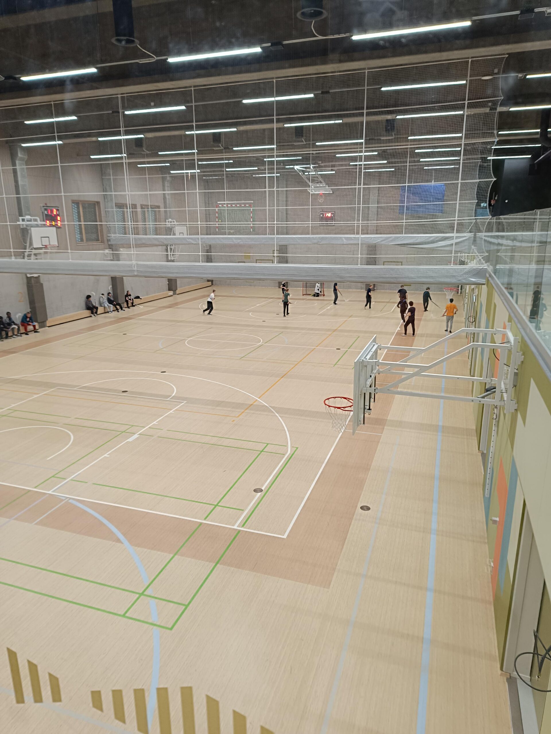 IMG_20241127_114819-2457x3276