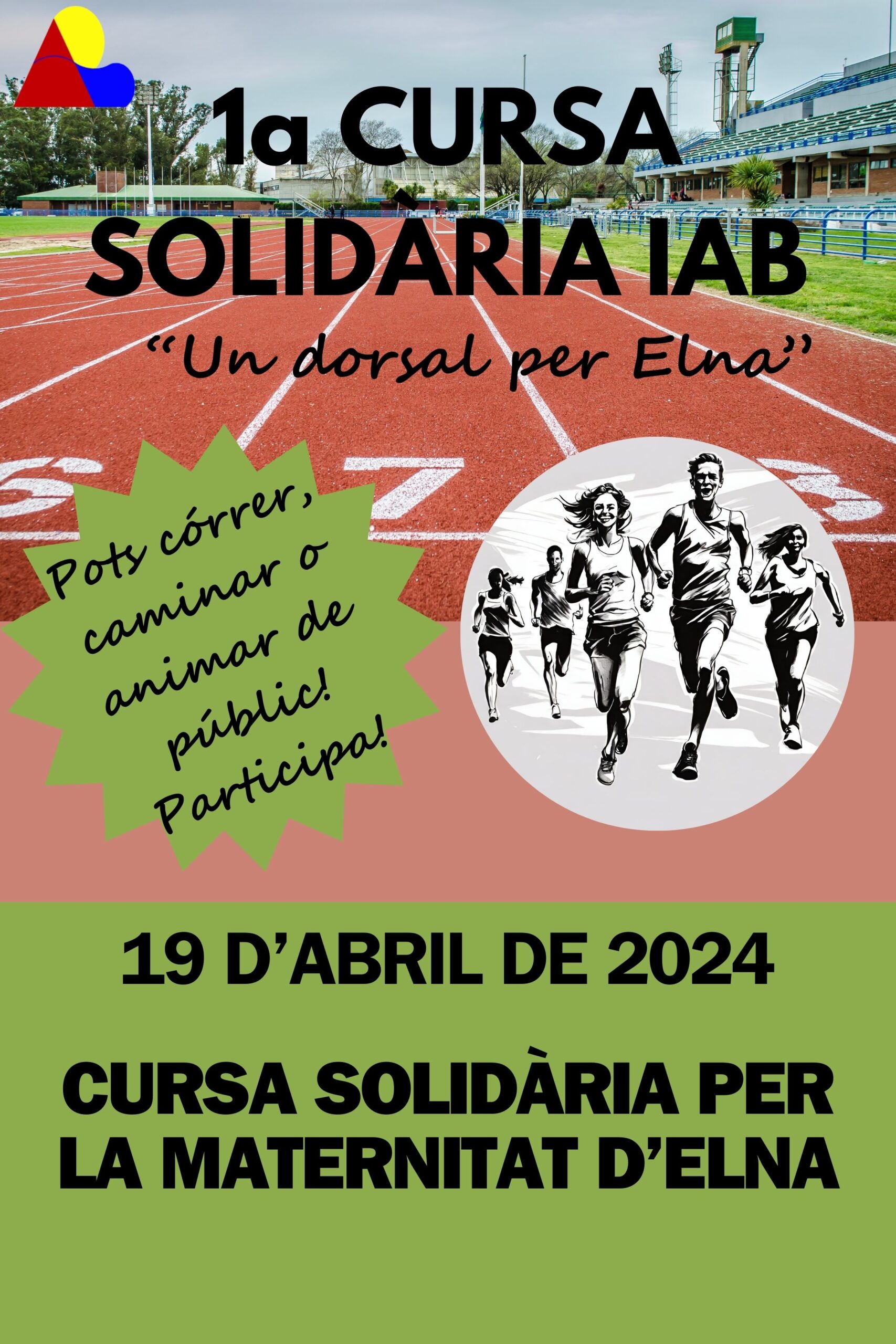 cartellcursaescola1