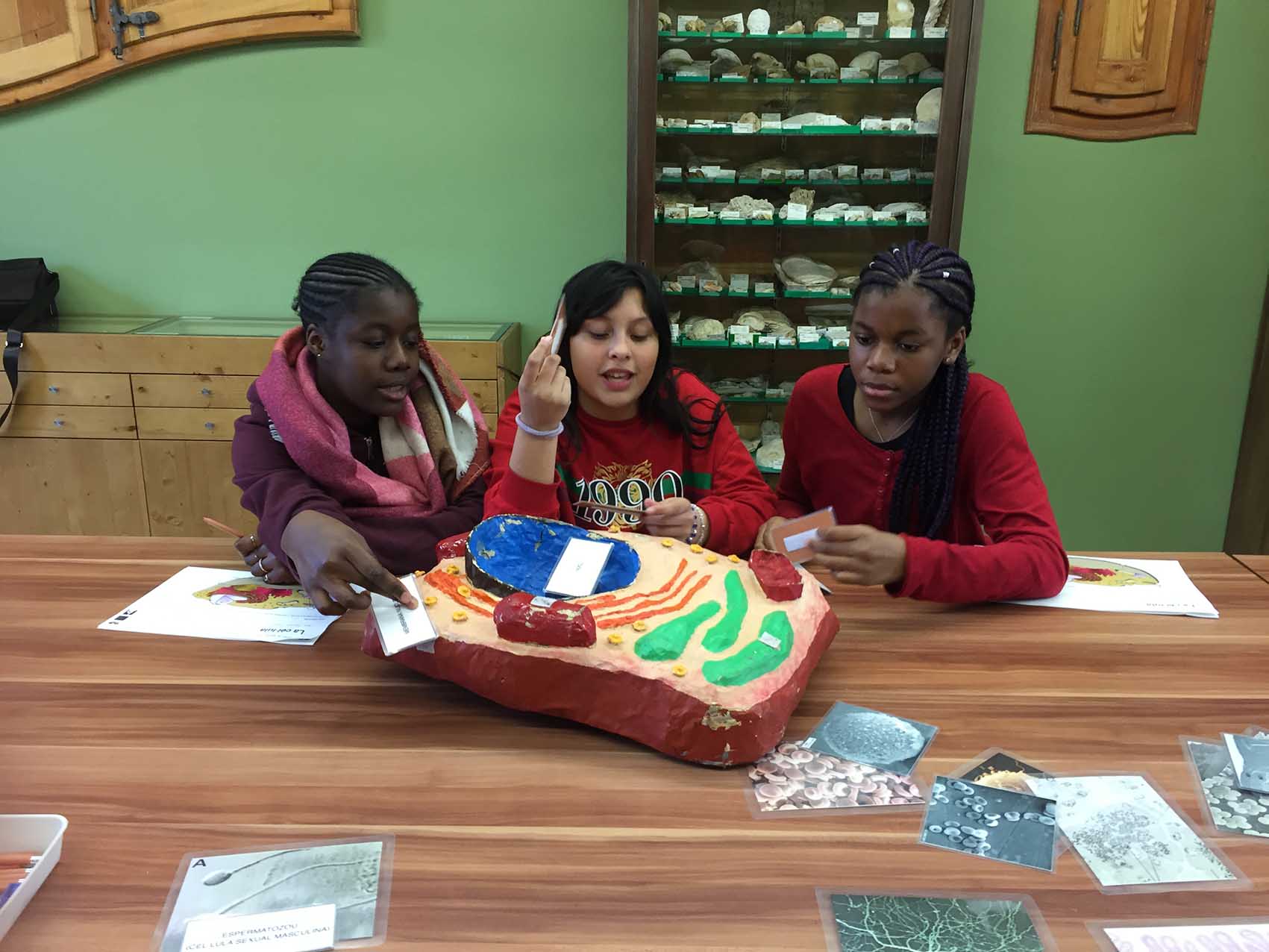 11070957-09CE-4C8B-A6B0-B5FC88C938CA