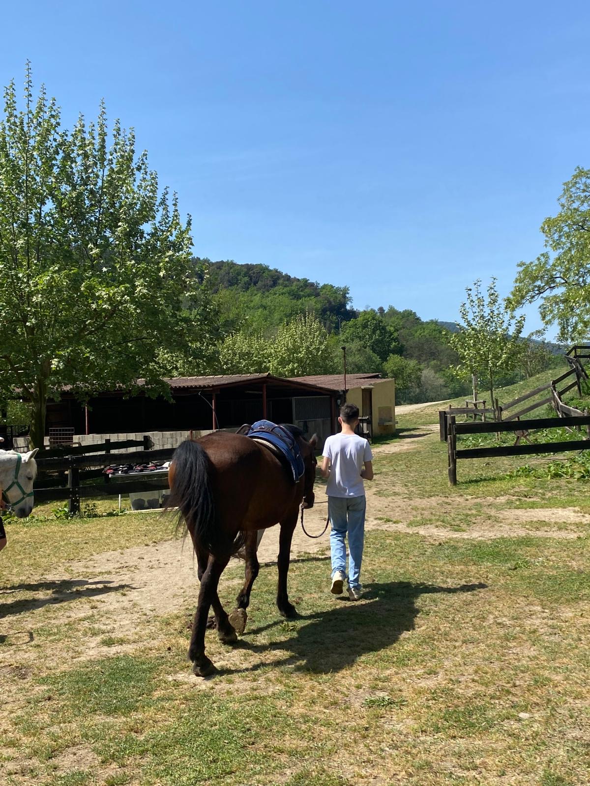 21a0007c-0b98-4368-9ff2-a10a5f698664