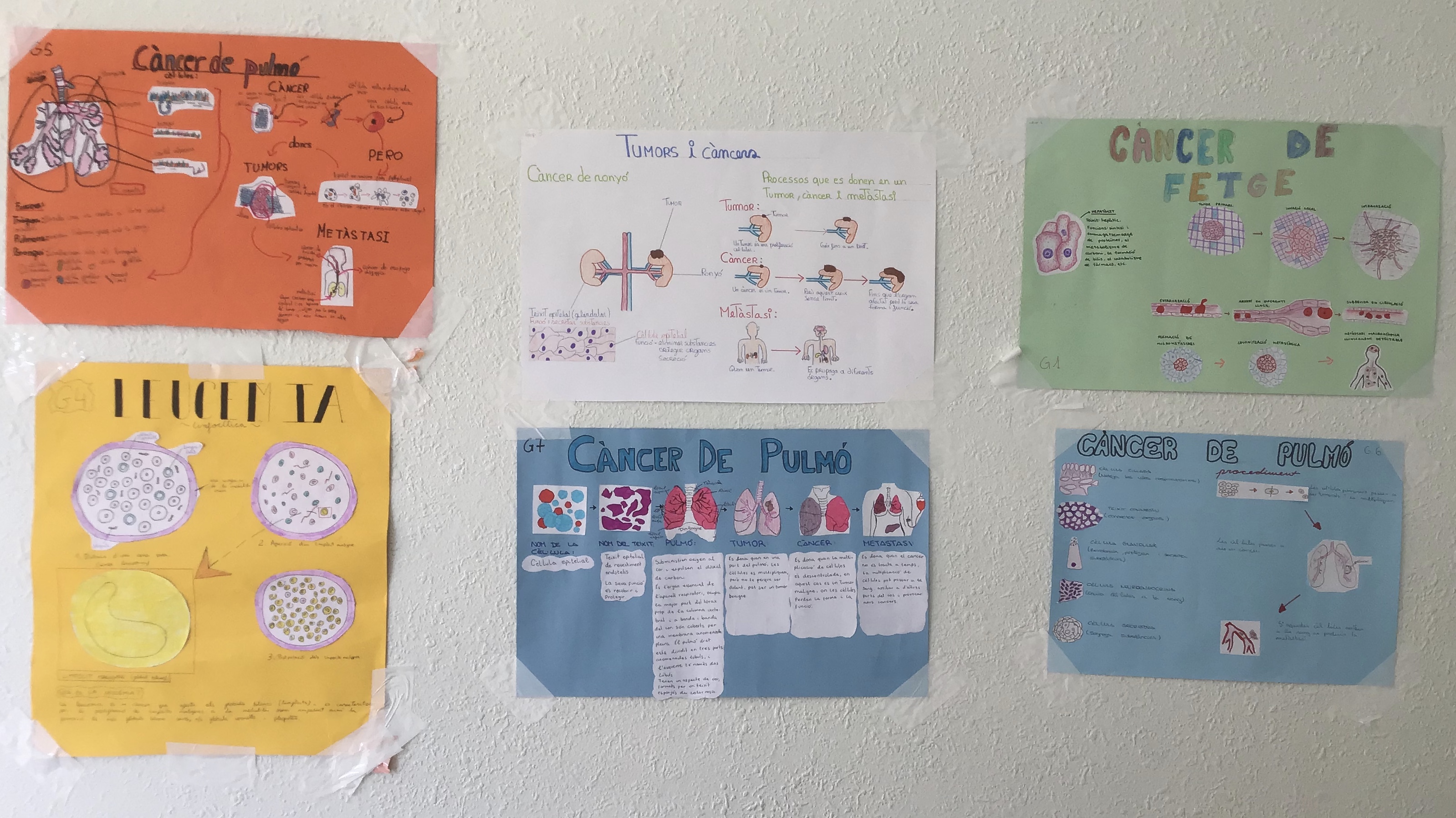 Institut Agustí Serra