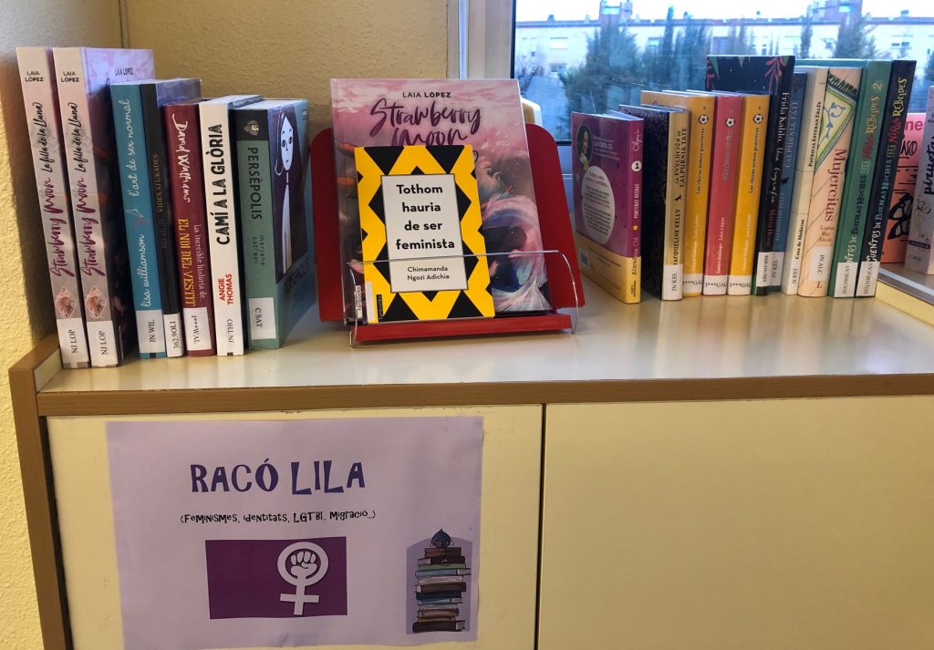 Institut Agustí Serra, Biblioteca, Coeducació