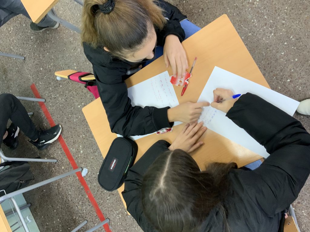 Institut Agustí Serra, ESO