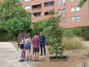 Iván, Agustí Serra i Fontanet, Sabadell