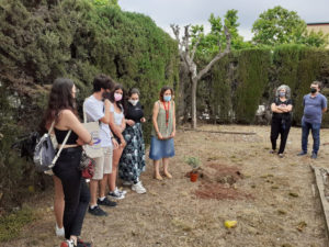 Mentories, Agustí Serra i Fontanet, cicles formatius, Eso, Batxillerat