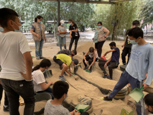 ESO, Agustí Serra i Fontanet, Sabedell, Campus arqueològic, Egipte, Palau Plegamans