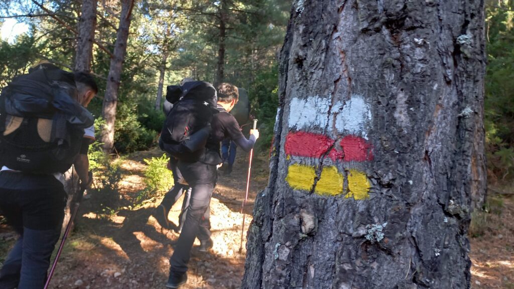 Ruta al Berguedà del CFFM Guia en el Medi Natural i de Temps de Lleure
