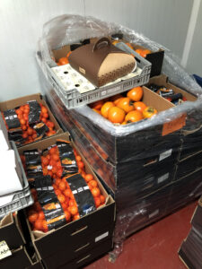 RebostSolidari2021_2022Fruita_1