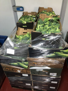 RebostSolidari2021_2022Verdura