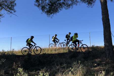 Bicicleta (MP 6)_Guia en el Medi Natural i de Temps de Lleure