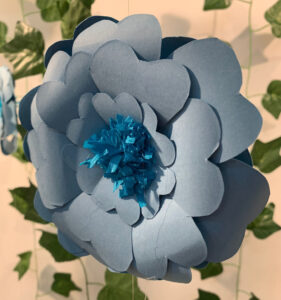 Aparadorisme al CFGS Gestió de Vendes 2022 _2