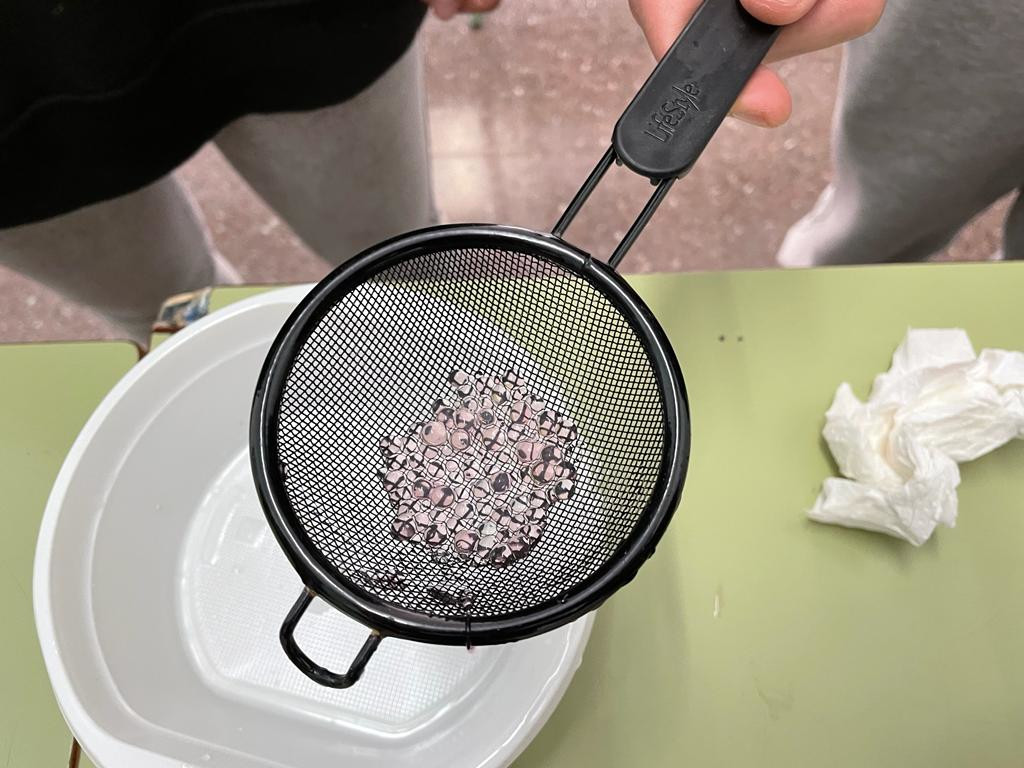 Descobrint la nanotecnologia amb 1r Batxillerat_16