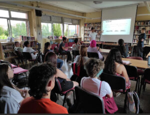 joc de taula Rail fan