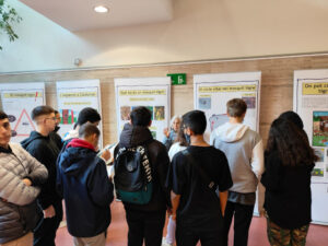 Mosquit tirgre 3D_12