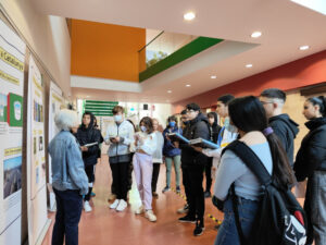 Mosquit tirgre 3D_15