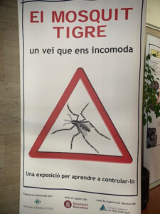 Mosquit tirgre 3D_5