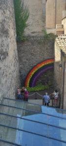 CFGM en Activitats Comercials Girona Temps de Flors_22 1