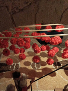 CFGM en Activitats Comercials Girona Temps de Flors_22 13