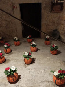 CFGM en Activitats Comercials Girona Temps de Flors_22 14