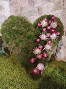 CFGM en Activitats Comercials Girona Temps de Flors_22 16