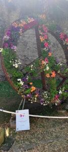 CFGM en Activitats Comercials Girona Temps de Flors_22 2