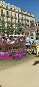 CFGM en Activitats Comercials Girona Temps de Flors_22 5